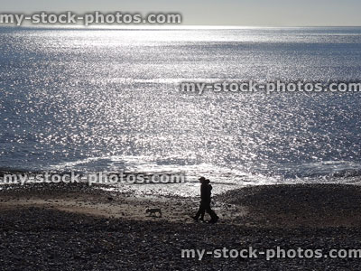 Stock image of silhouette of backlit couple walking dog on beach