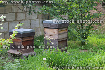 Stock image of wooden beehives, homemade beehives made from boxes / drawers