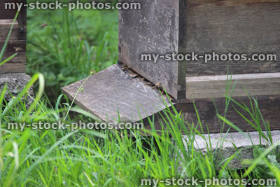 Stock image of entrance to wooden beehive, homemade beehives with honey bees flying
