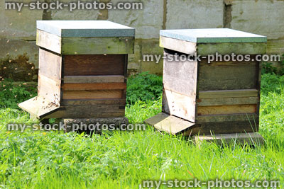 Stock image of rectangular wooden beehives on garden lawn, honey bees