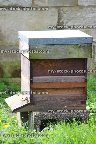 Stock image of single wooden beehive standing on concrete blocks, felt roof