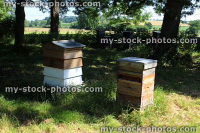 Stock image of colourful painted homemade beehives, made from boxes / drawers