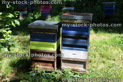 Stock image of colourful painted homemade beehives, made from boxes / drawers