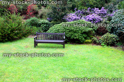 Stock image of wooden garden bench on lawn grass, by flowers and shrubs