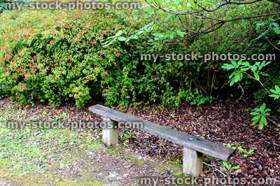 Stock image of simple rustic garden bench, wooden posts and plank