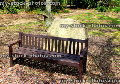 Stock image of wooden bench in woodland park, in dappled shade