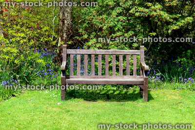 Stock image of wooden bench seat in garden, by bluebells / azaleas
