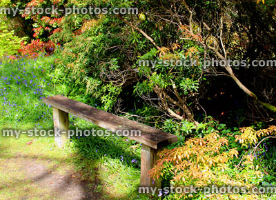 Stock image of homemade wooden garden bench, by lawn and path