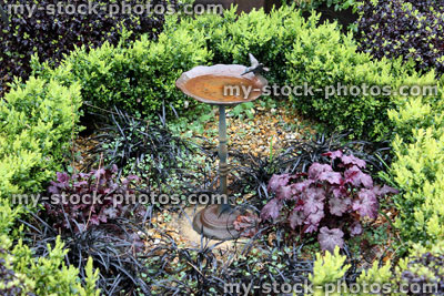 Stock image of rusty metal bird bath in topiary garden with buxus hedging