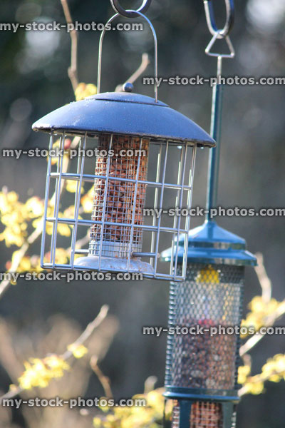 Stock image of wild bird feeders in back garden, wire mesh / cage