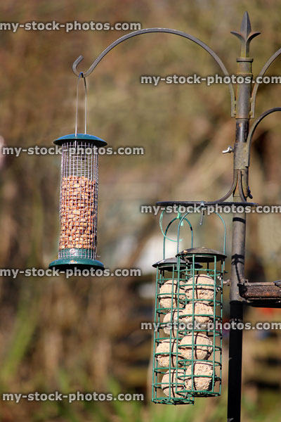 Stock image of hanging wire mesh and cage nut wild bird feeders