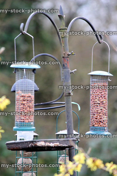 Stock image of metal seed bird feeders with peanuts for wild birds