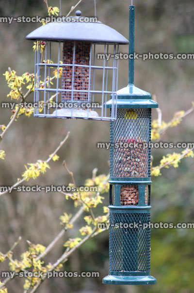 Stock image of metal hanging bird feeders, filled with peanuts / seeds