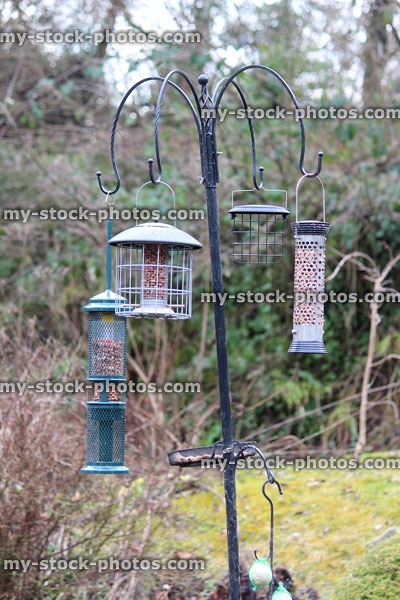 Stock image of bird feeding station with hanging seed feeders, back garden