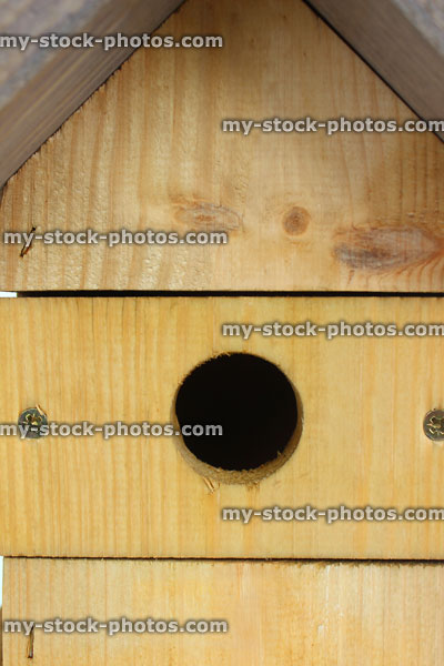 Stock image of round entrance hole on blue-tit nestbox / nesting box