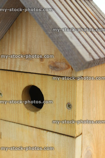 Stock image of wooden nesting box made for blue-tits, with small-hole