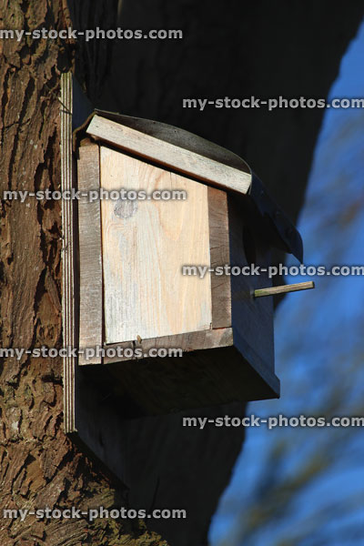 Stock image of homemade wooden bird's nestbox high up in tree