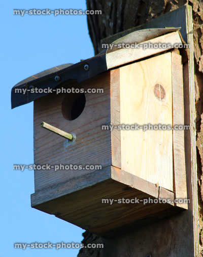 Stock image of wooden nestbox / nesting box with perch outside hole