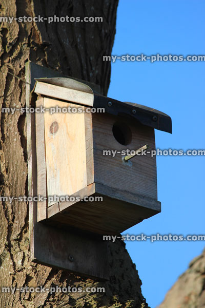 Stock image of homemade wooden nestbox, round entrance hole, sloping roof