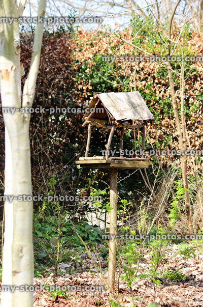 Stock image of woodland garden with homemade wooden rustic birdtable stand