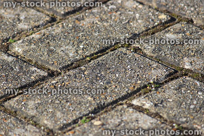 Stock image of dirty block paving on driveway, block paved drive bricks