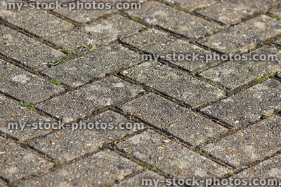 Stock image of herringbone brick paving pattern on driveway, block paved drive