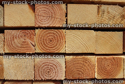 Stock image of square fence posts sawn ends, showing woodgrain / tree rings