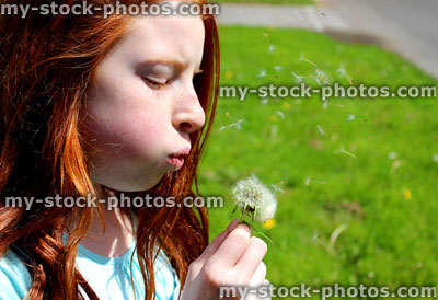 Stock image of child / girl blowing dandelion seeds in garden