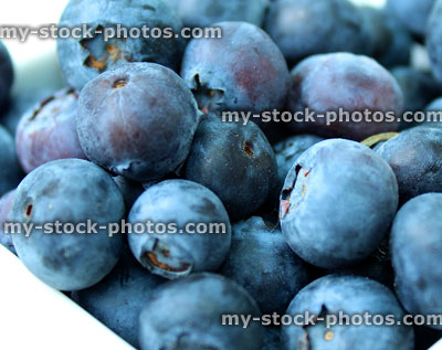 Stock image of pile of organic fresh blueberries, healthy breakfast