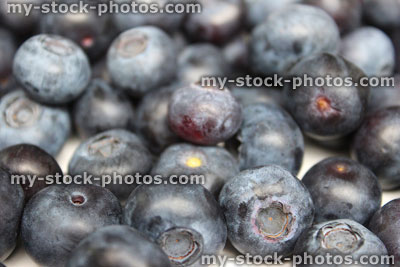 Stock image of fresh organic blueberries / blueberry berries, healthy snack food