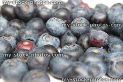 Stock image of fresh organic blueberries / blueberry berries, healthy snack food