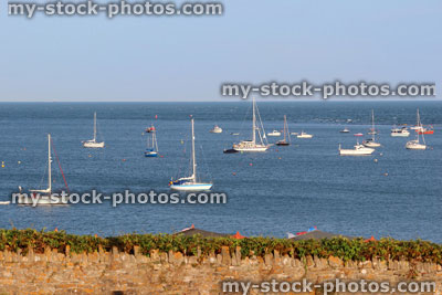 Stock image of seaside harbour with boats and yachts moored by beach / sea