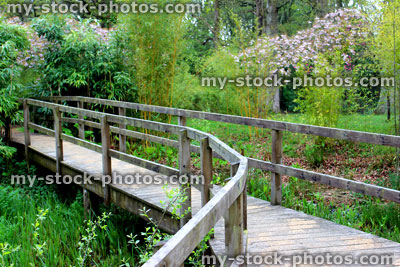 Stock image of wooden boardwalk over marsh garden with bog plants