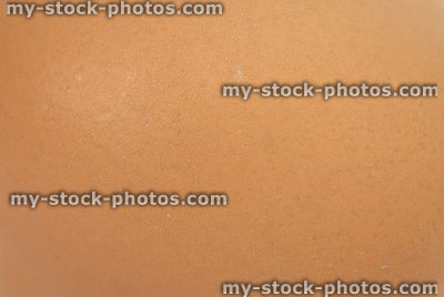 Stock image of brown chicken egg shell, close up showing pitted texture