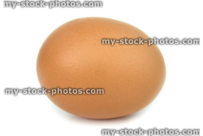 Stock image of brown chicken egg on side, against white background