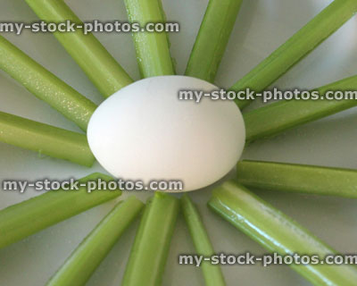 Stock image of boiled egg with celery sticks, star shape / sunshine