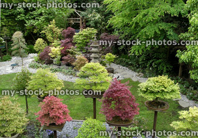 Stock image of Japanese garden, maples, bonsai trees, lanterns, pagoda, pebbles