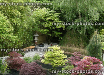 Stock image of ornamental Japanese garden, koi carp pond, bamboo, maples