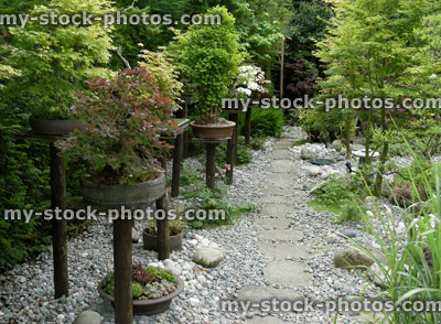 Stock image of Bonsai Displayed along a Pathway