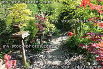 Stock image of Japanese bonsai garden with stepping stones, pebble pathway