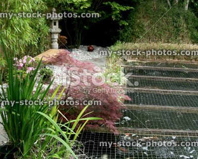 Stock image of garden koi pond, with safety cover