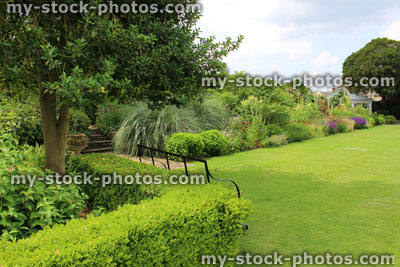 Stock image of green garden lawn, shrubs, herbaceous border flowers, bench
