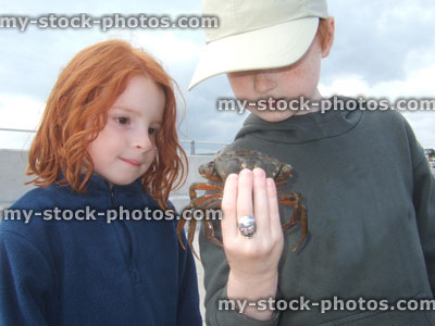Stock image of red headed boy holding a crab with sister looking on