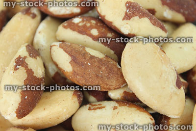 Stock image of brazil nuts, healthy snack foods, vitamin E, selenium, raw nuts