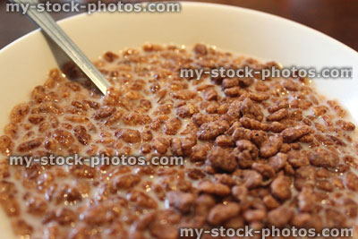 Stock image of cocoa rice krispies breakfast cereal in white bowl with milk