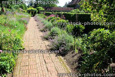 Stock image of red brick path through herbaceous flower border, cottage garden
