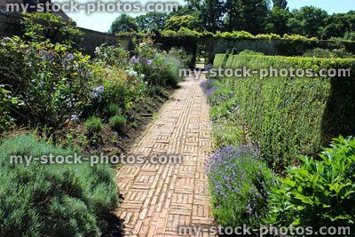 Stock image of red brick path through herbaceous flower border, cottage garden, rose bushes, box hedge