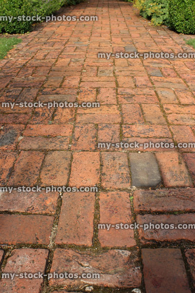 Stock image of old red brick path, block paving, paved pathway