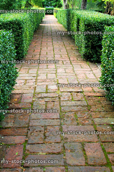 Stock image of old red brick pathway, clipped boxwood / buxus hedging