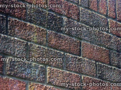 Stock image of grey and red brick wall with neat pointing